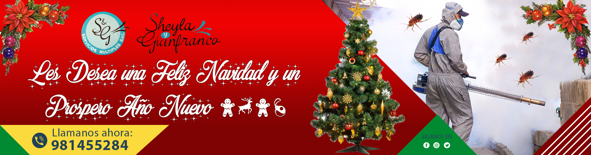 imagen11